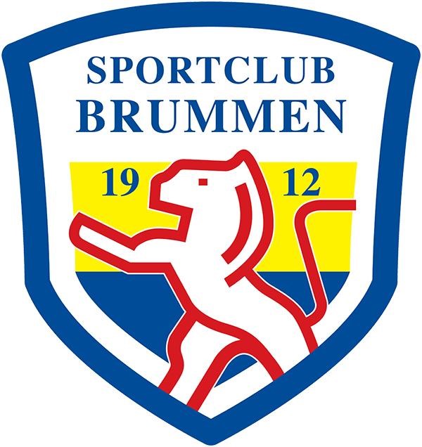 Vacature: Assistent-trainer 1e elftal seizoen 2021-2022 dlvr.it/RzSsjY