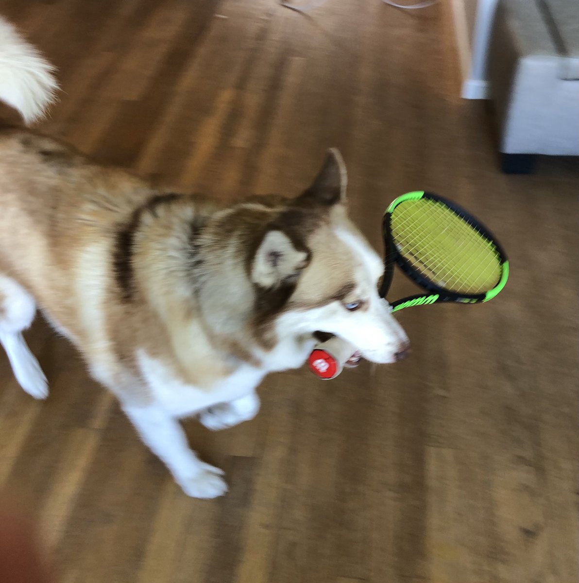 Jennifer (Hatem) Carey tweet media