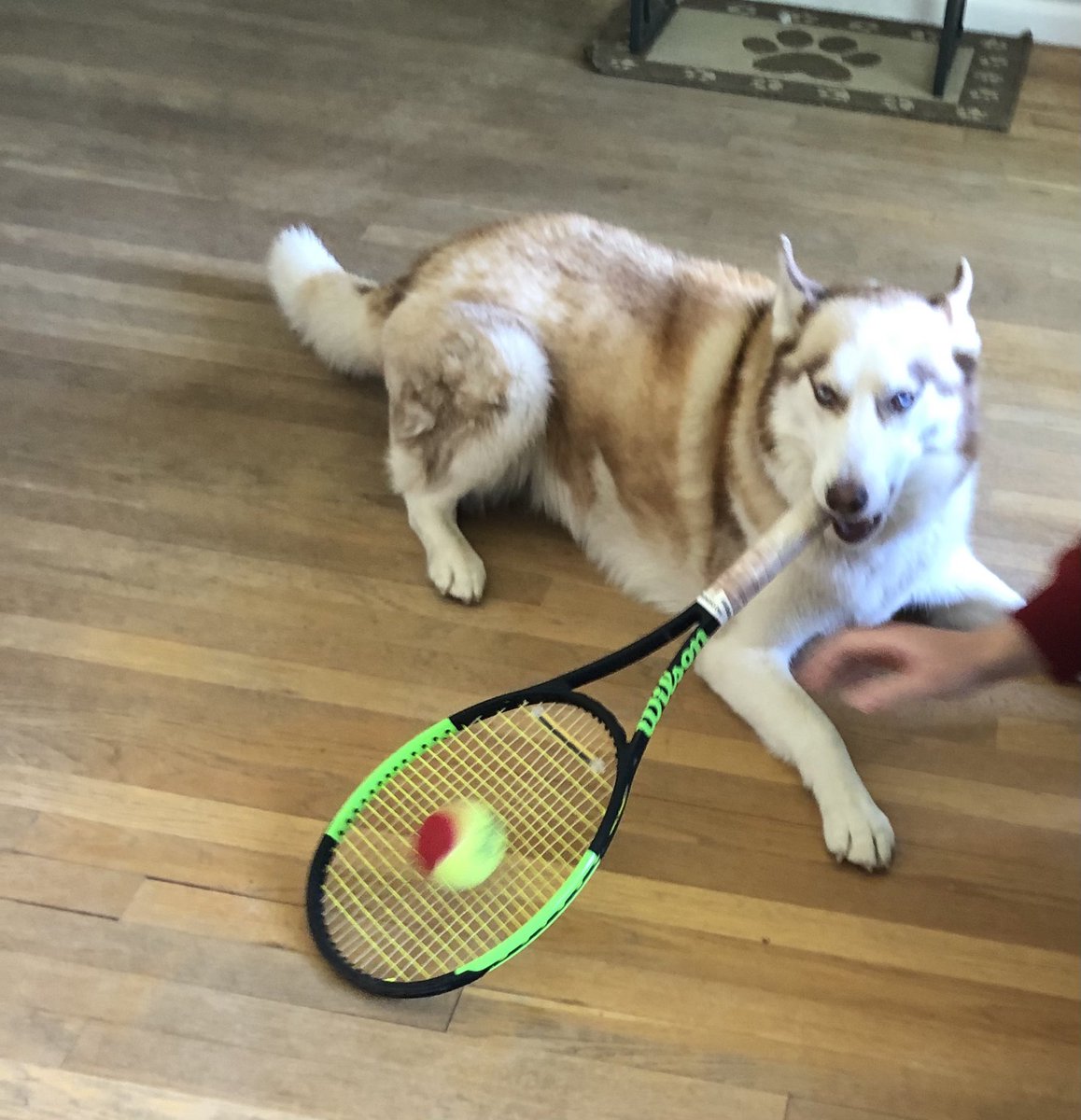 Jennifer (Hatem) Carey tweet media