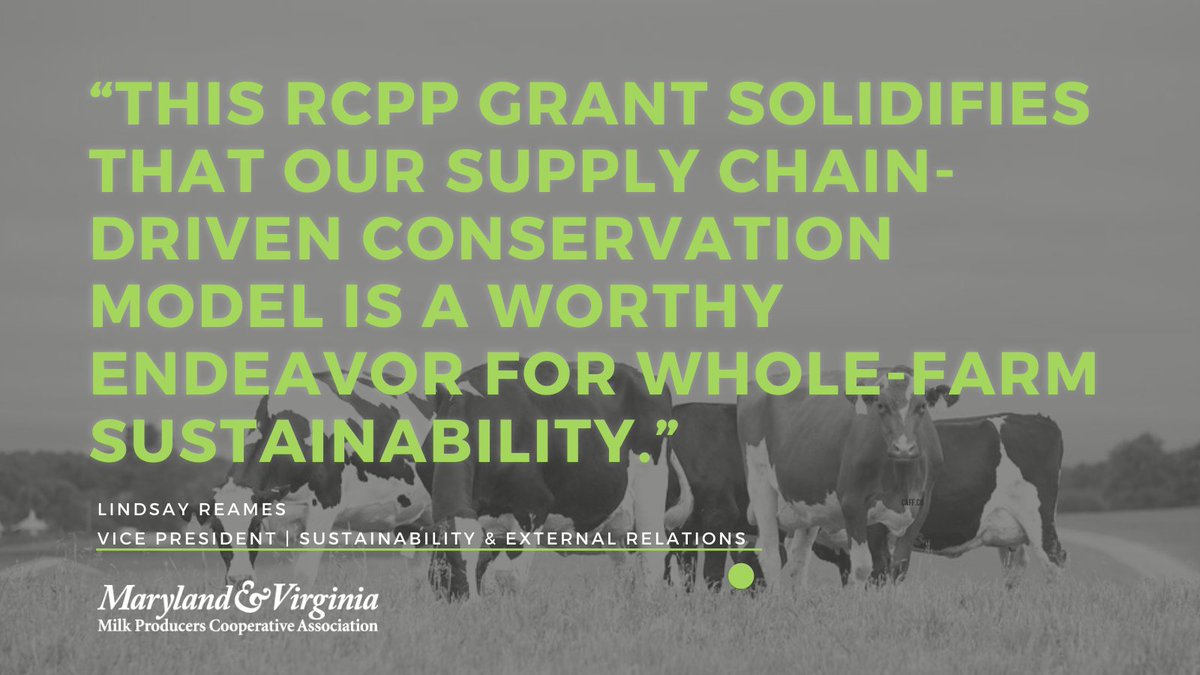 MDVAMilk's tweet photo. Maryland &amp; Virginia, along with our partners at @AllianceForBay and @TurkeyHillDairy, were recently awarded $4 million from @USDA_NRCS  to continue supporting our farmers involved with the Turkey Hill Clean Water Partnership. 

READ MORE: https://t.co/dXJXM8OeGO https://t.co/P69x4AHYQt