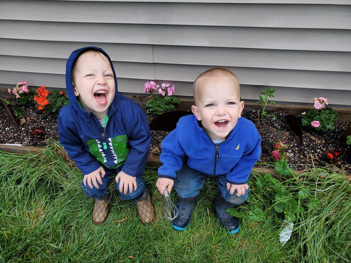 These two honyocks will single handedly be the reason none of my flowers make it this year. #replant21