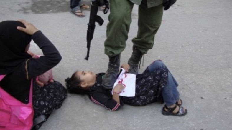 ShelbyProbably's tweet photo. #SaveSheikhJarrah 🇵🇸 https://t.co/0tFZjCFHPl