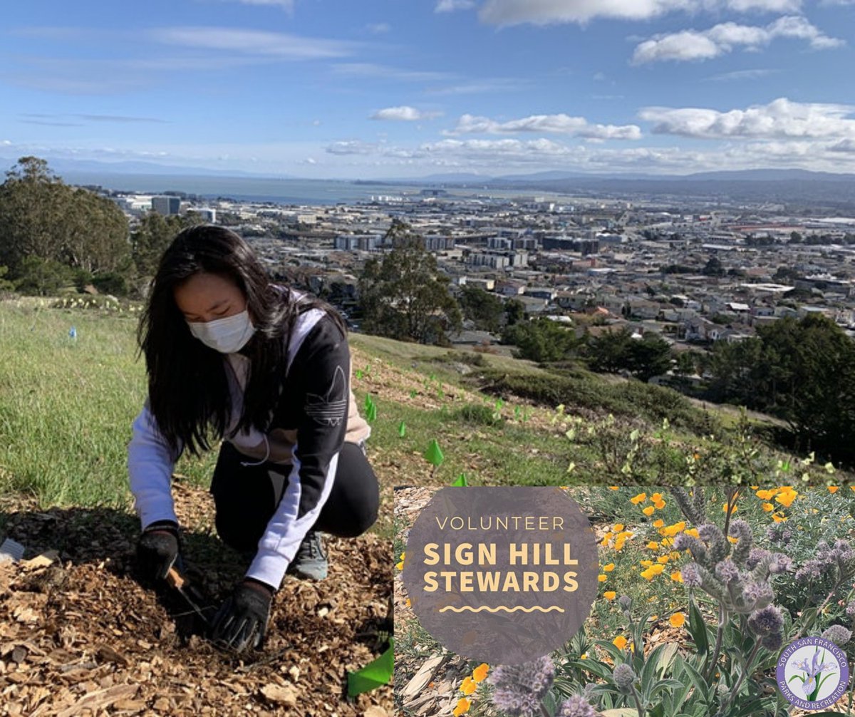 SSFParksandRec's tweet photo. Volunteer with us to restore habitat on Sign Hill, following COVID-19 safety guidelines! Help us conserve & restore their habitat by installing native plants & removing invasive plants. We have small volunteer events coming up. Register today at https://t.co/D89oYCFBXj
@CityofSSF https://t.co/R64Gvq89XS