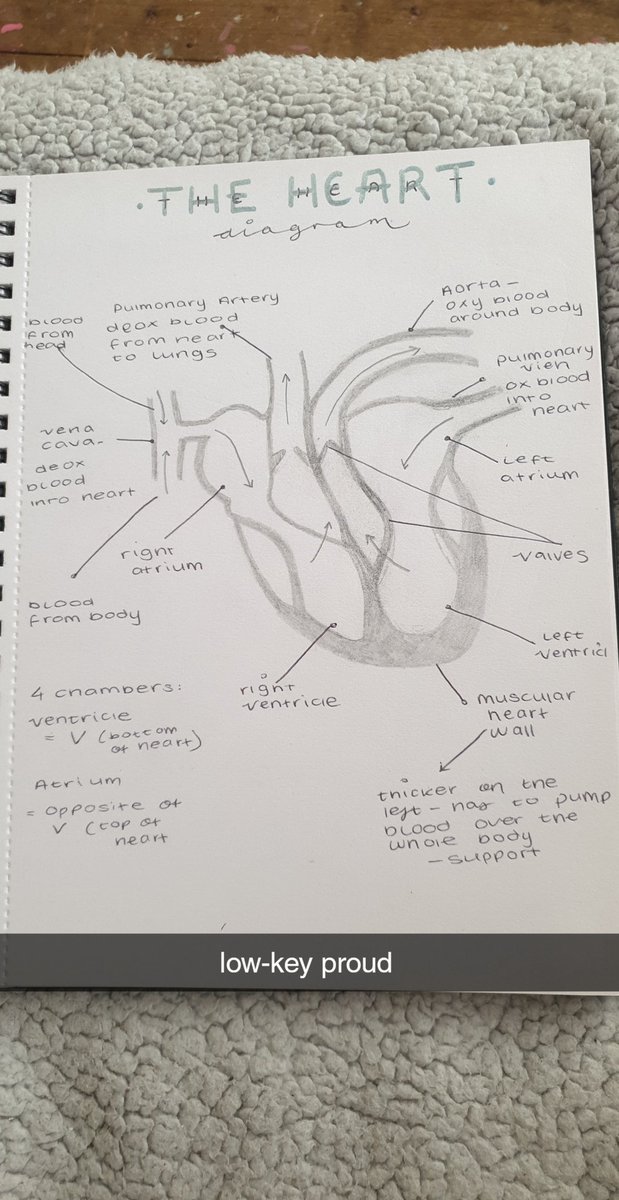 x.codeyyy.x tweet media
