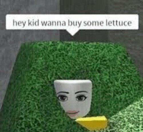 roblox #memes  Roblox memes, Roblox funny, Really funny