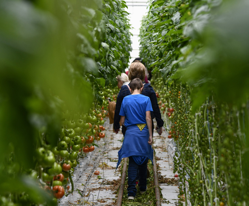 Tourism Medicine Hat on Twitter "Our restaurants aren't the only