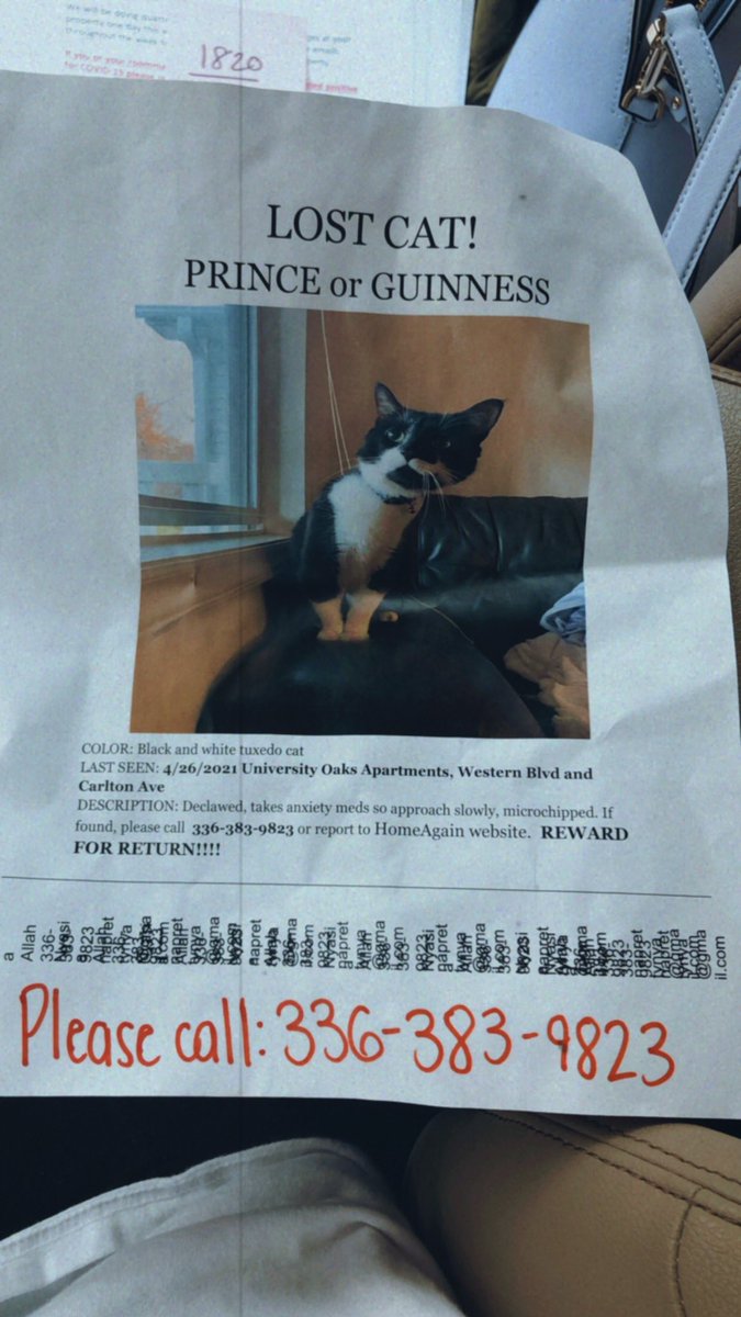 Missing Cat! Please contact if you have seen him!