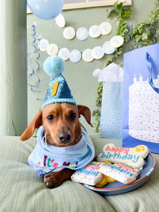 happy first birthday to my baby boy 🥺💘 https://t.co/ShwLUMQwOz