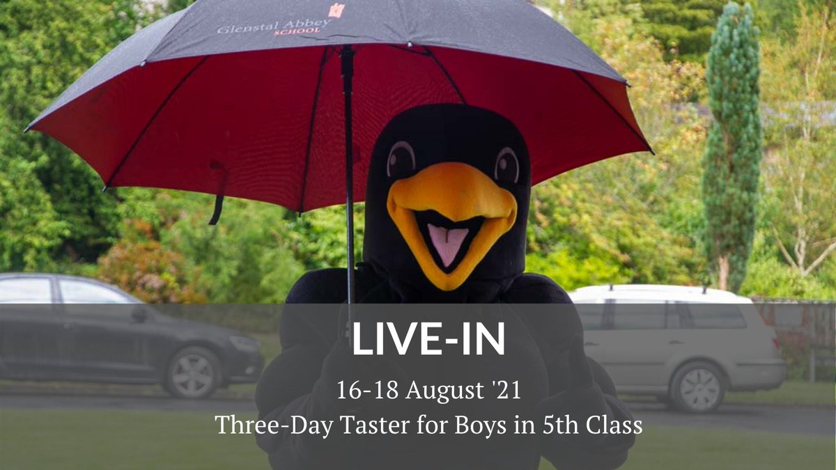 Did you ever wonder what it's like to live and go to school in a castle? Well if your son is in 5th class he's invited to register for a three-day 'taster' of life at Ireland's leading boarding school for boys. hubs.ly/H0M_GF60