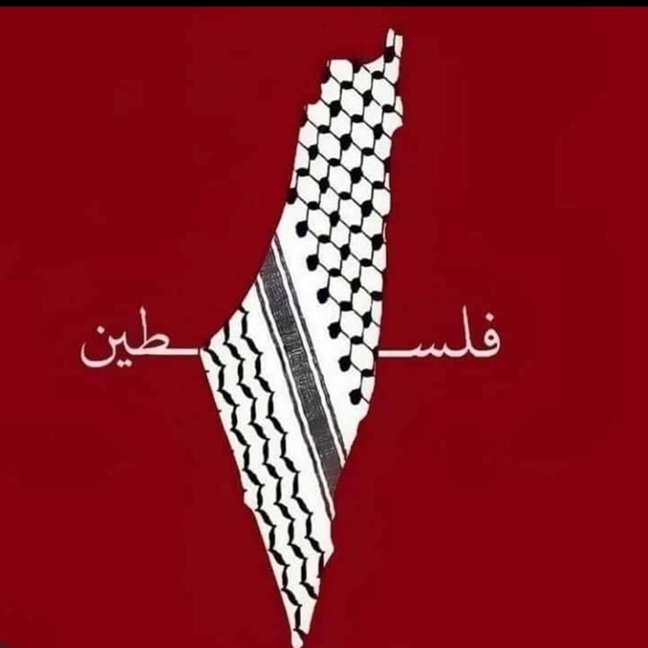 قلبى وروحى فداكى يافلسطين 🇦🇪