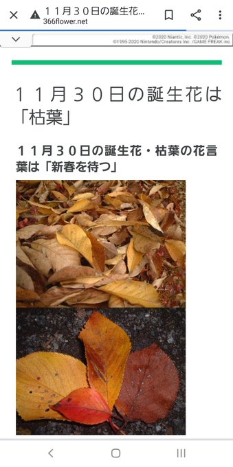 アルフレッド 新春けもケb 11 S Recent Tweets Whotwi Graphical Twitter Analysis