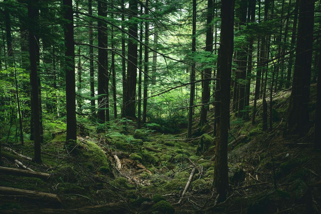 UNEP tweet picture