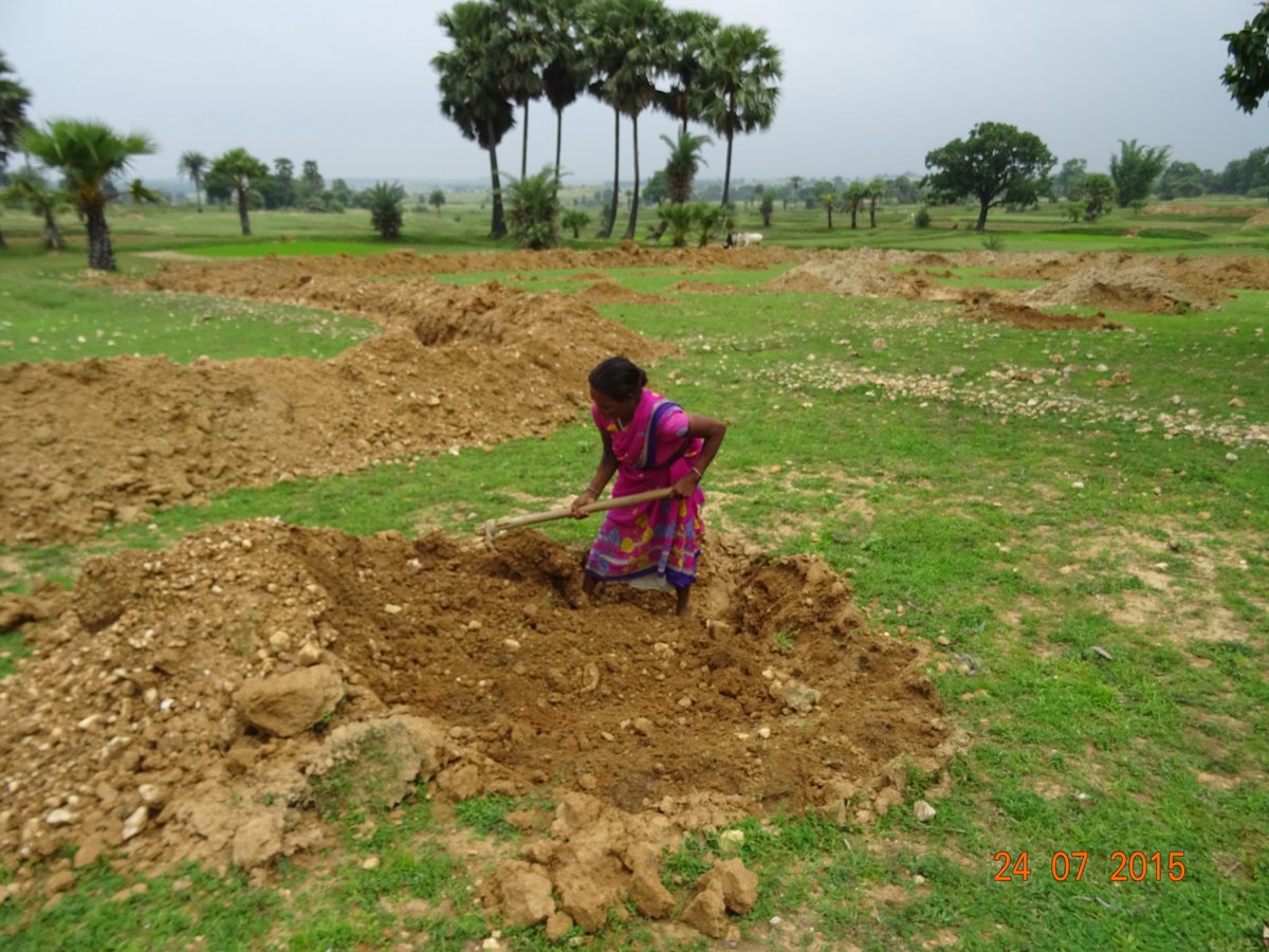 janvikashsamiti's tweet photo. Sowing seeds together for sustainable livelihood. #WADIProgram #JVSI #supportmigrantworkers https://t.co/fpb9vgMzpi