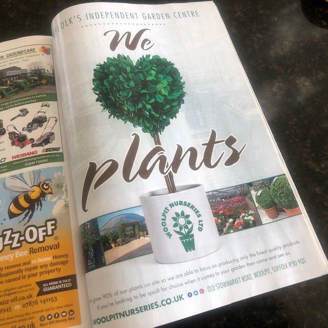 WoolpitPlants's tweet photo. We 💚 plants.
#suffolkmagazine https://t.co/u7qANHLDFv