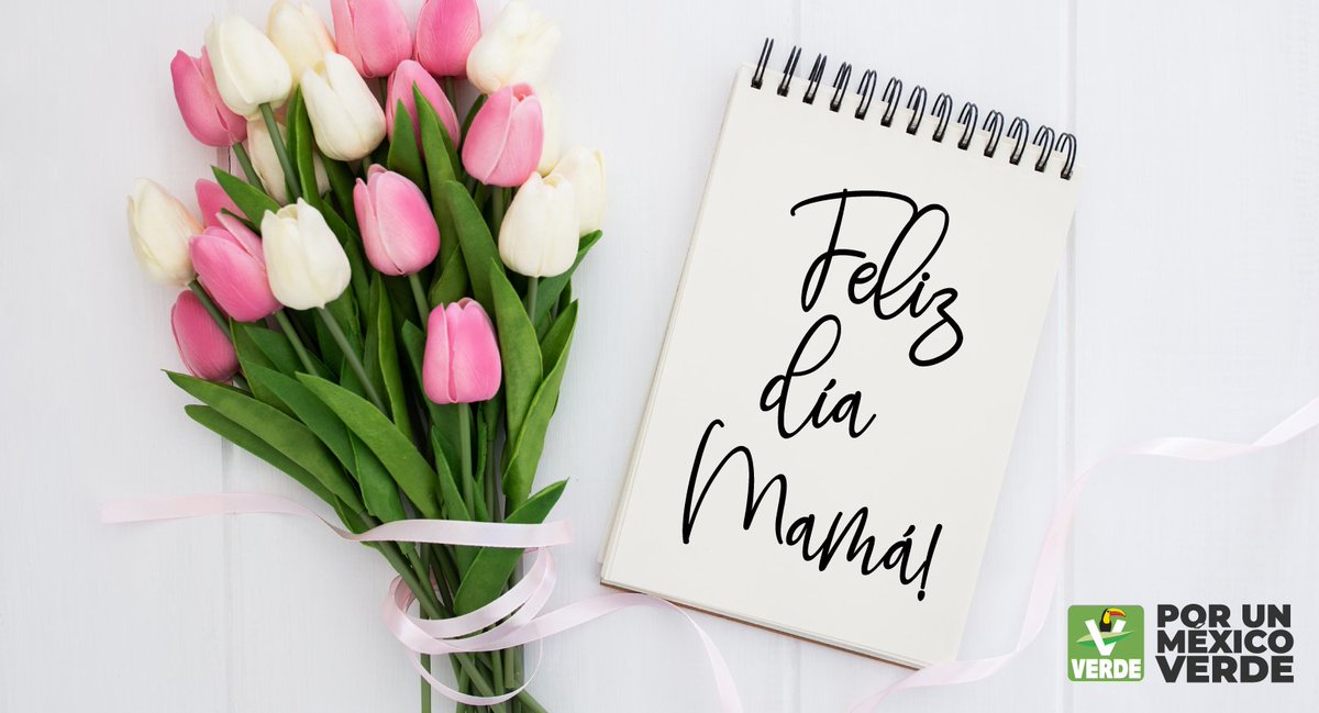 partidoverdemex's tweet photo. Por ser mamá, por ser maestra, enseñanza, amor... por eso y por todo. ¡Feliz día Mamá! #10deMayo #FelizDíaDeLasMadres❤️ https://t.co/SGsIOr5nwP