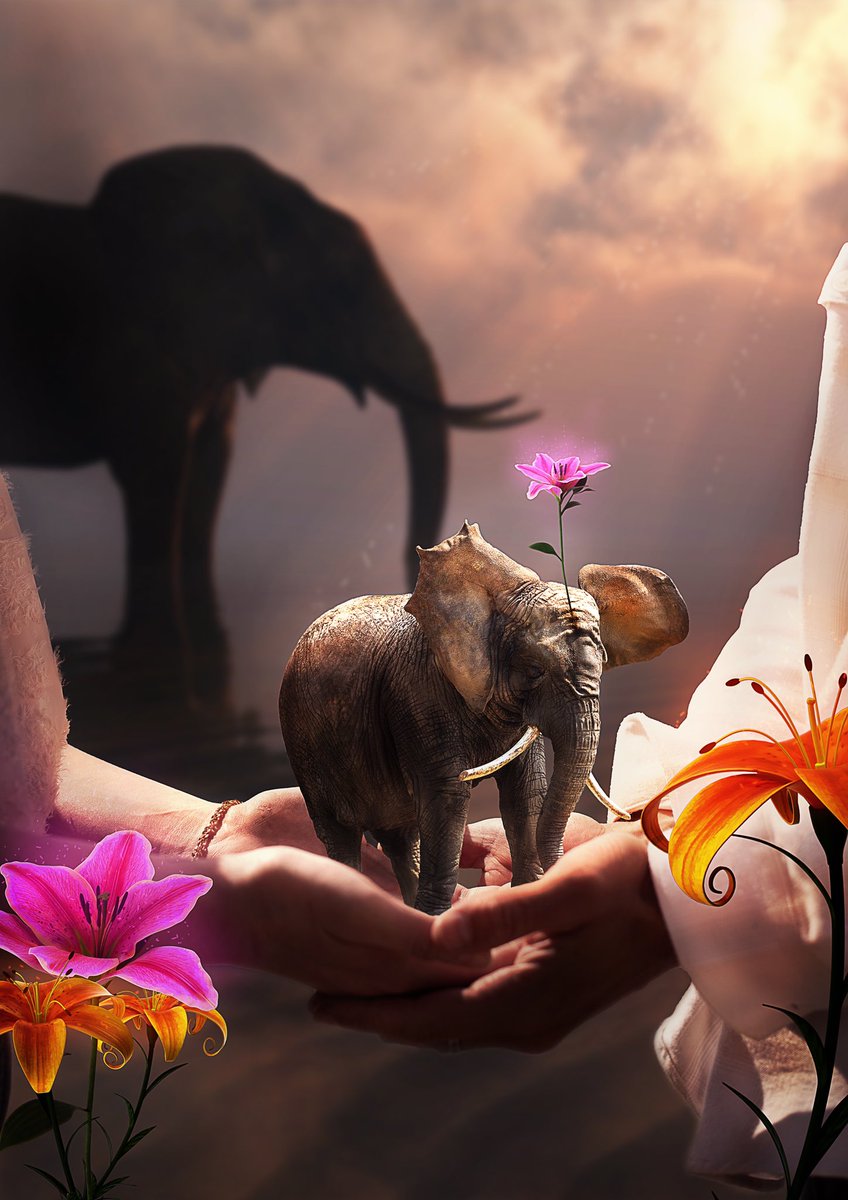 Paul 📸🌹 tweet media