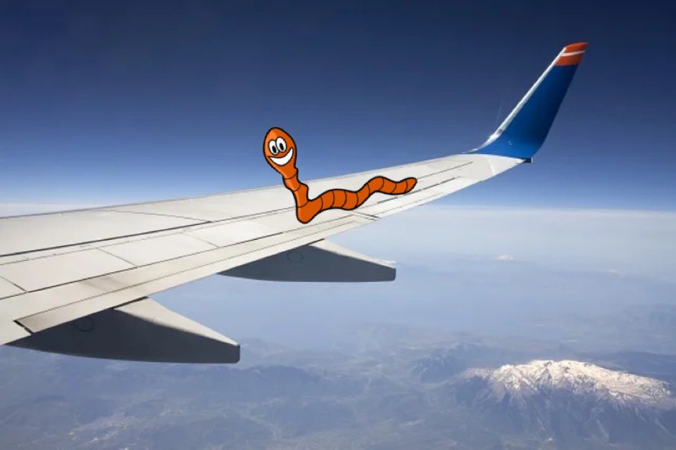 HAPPY BIRTHDAY TO ONE OF OUR MANAGERS, THE GEEZER HIMSELF TURNS 18 today. <a href="/Ringrxm/">Rhys</a> 

Happy birthday brother, happy to have you on board 🥳❤️