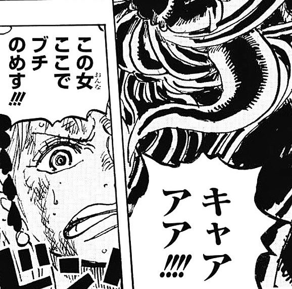 ワンピースのナミは覇気を使える ワノ国で覚醒しそう やあ 僕の漫画日記