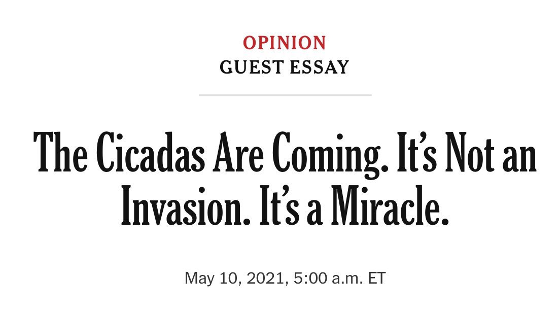 Steve Morris tweet media