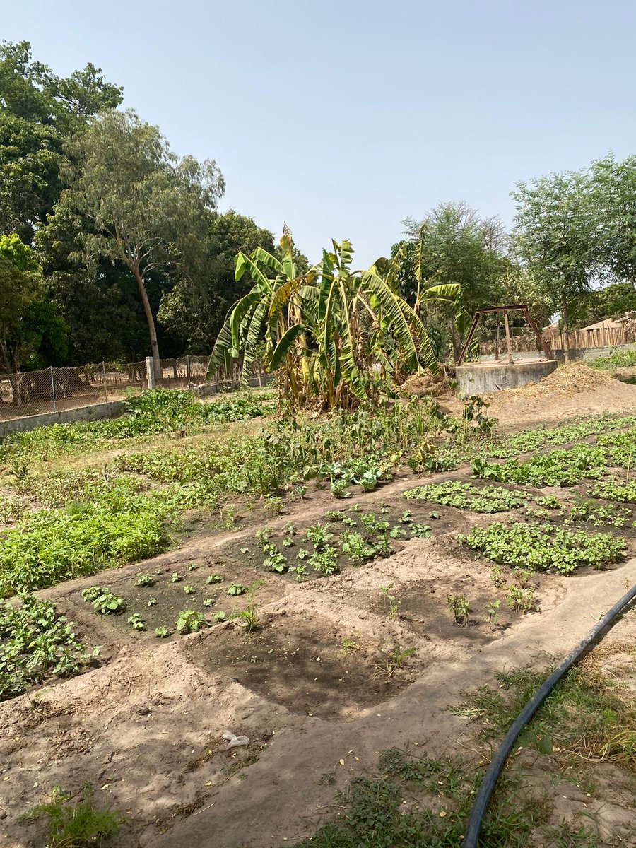 djibabouya's tweet photo. Projecto para mujeres de mi pueblo djibabouya https://t.co/FcJ6P15m9k
