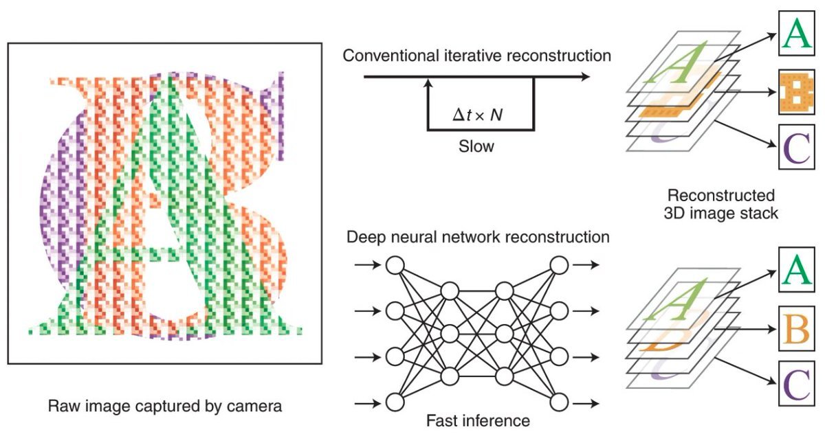 Also check out the accompanying News &amp; Views from Kai Wang from the Institute of Neuroscience in Shanghai, discussing deep learning-based reconstruction of light field microscopy data.

N&amp;V: nature.com/articles/s4159…
Papers:nature.com/articles/s4159… and
nature.com/articles/s4159…