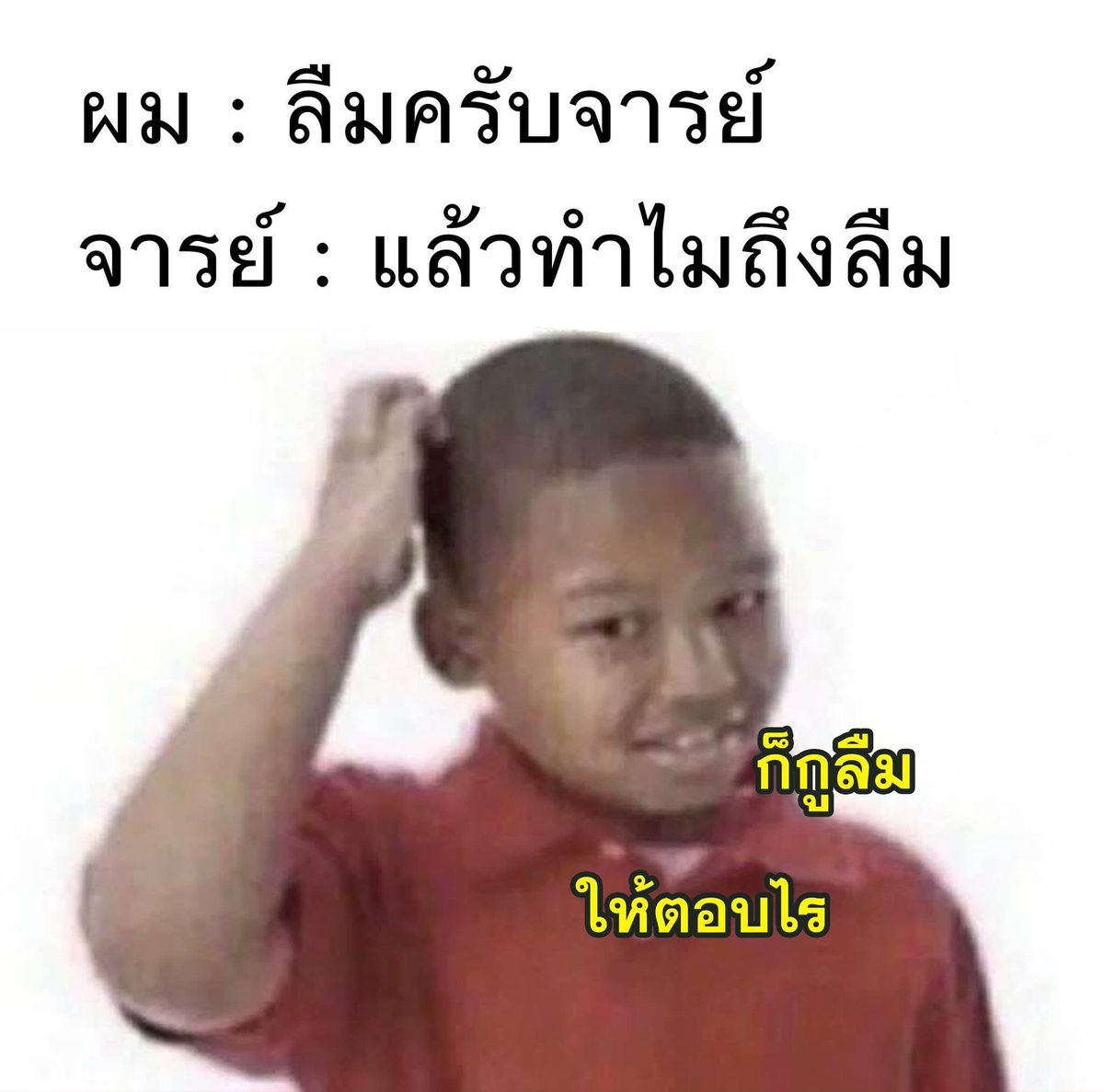 ⌗ 𝗯𝗲 𝘆𝗼𝘂𝗿 𝗵𝗼𝗺𝗲 🏠🪴 (@biyohome) on Twitter photo 