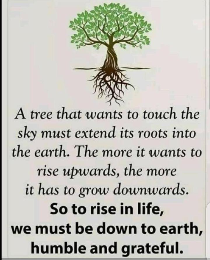 NTIVUGURUZWA Jados 🗯 tweet media