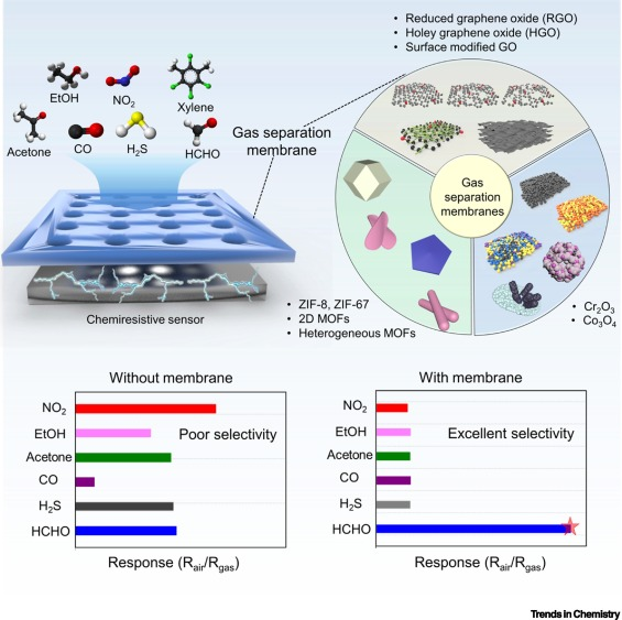 Check out our new review on selective and sensitive environmental gas sensors enabled by graphene oxide, MOF, and catalytic membrane overlayers -- from @TheElimelechLab and 
@johnfortner, in @TrendsChemistry  sciencedirect.com/science/articl…