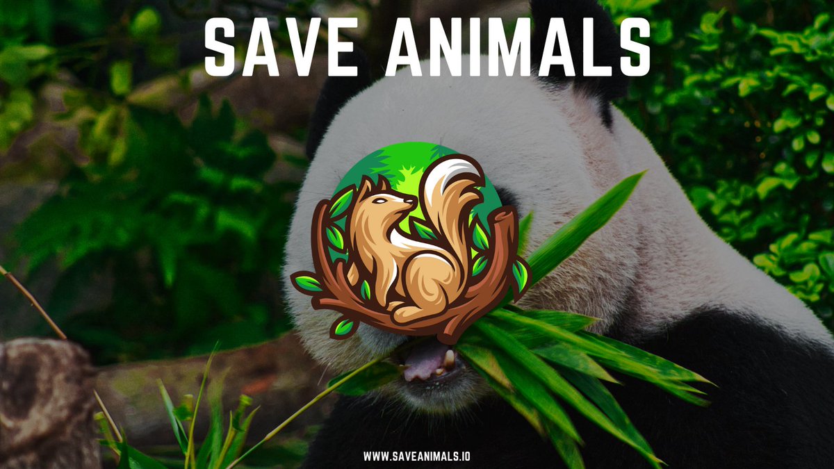 SaveAnimalsSEAS's tweet photo. Yesterday’s launch was amazing! Thank you for all the support, we’ll continue to move forward from this point. We’ve got huge plans including an AMA later this week. 

Our official website https://t.co/3GbQIADcov 🐿️

#saveanimals #BSC https://t.co/RdRFX86QYF