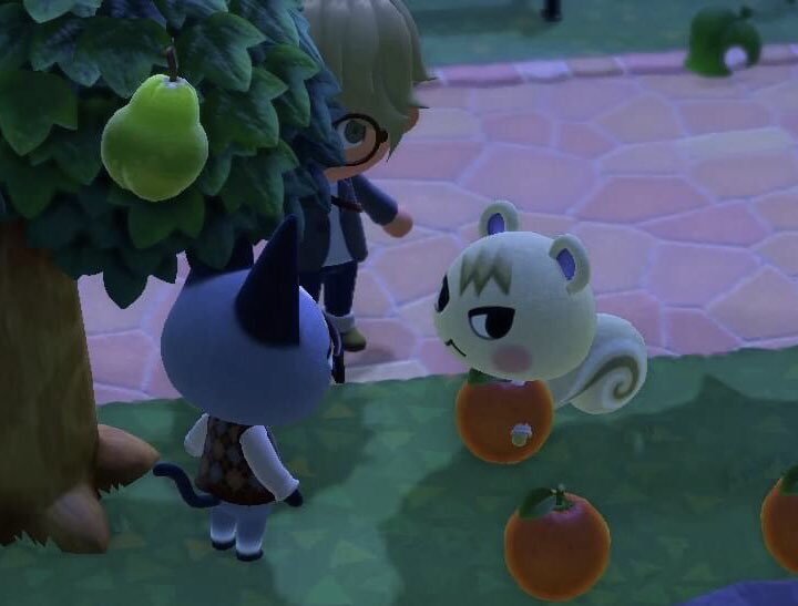 makeupACplayer's tweet photo. Animal Crossing player who loves when their villagers do this: https://t.co/gcSuhEUA0V