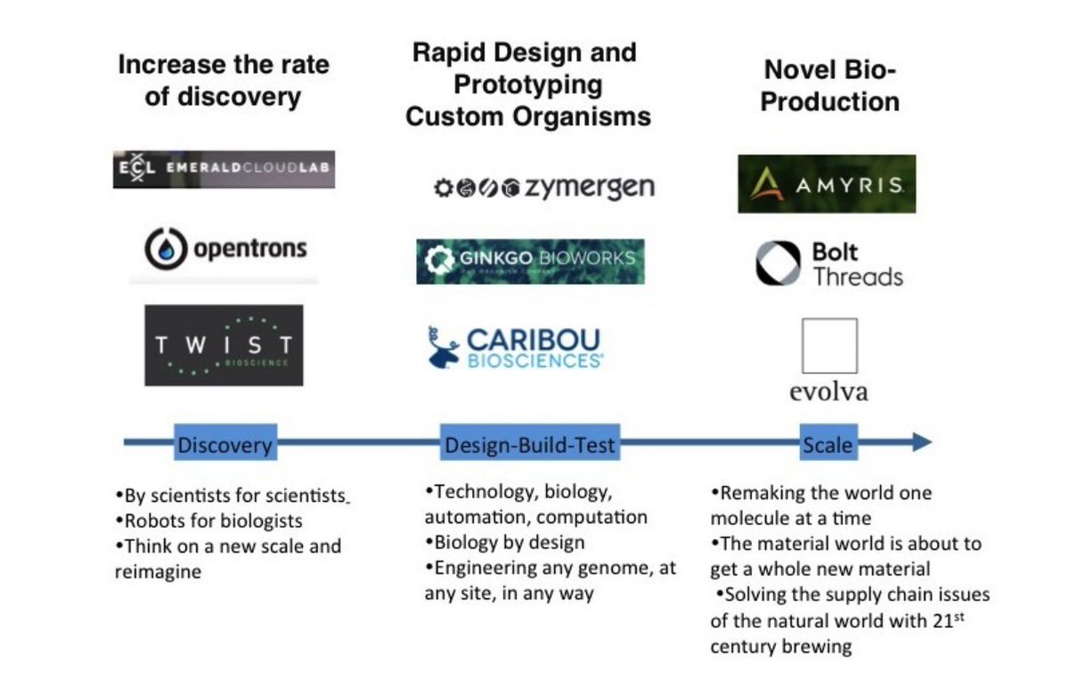  $AMRS has a commercialisation headstart against competitors $ZY ($4b): only 1 product in market; no product sales revenue (  $AMRS 13 ingredients in market)Ginkgo  $SRNG ($20B): great company with disruptive tech and IP business model but no room for error with that valuation