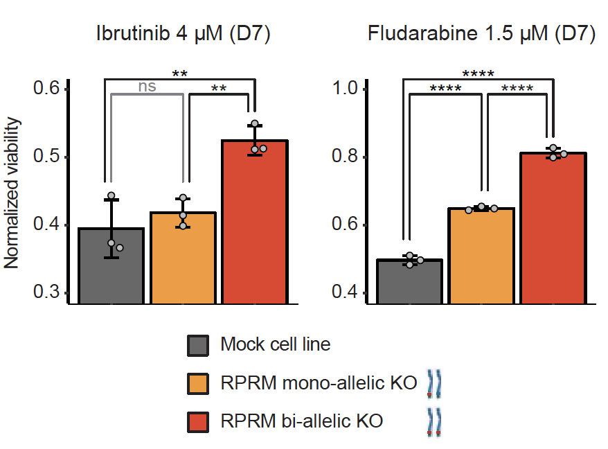 landau_lab's tweet photo. We validated top CLL TSG hits through CRISPR/Cas9 KOs, showing that they result in increased fitness in unperturbed growth as well as preferential fitness with leading agents. https://t.co/CyZv1JPGHY