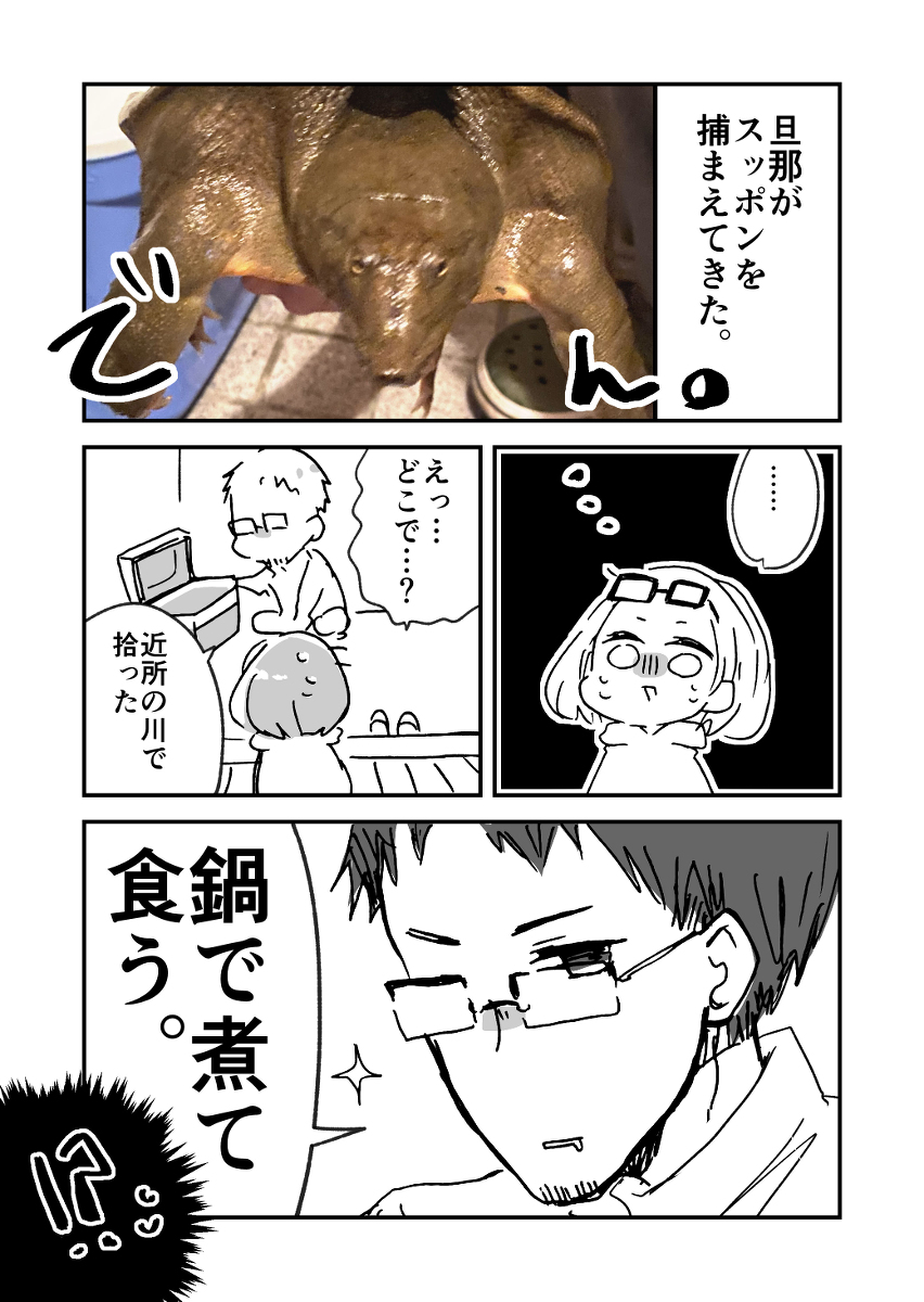 旦那がすっぽんを採ってきた話。 #とある日常マンガ賞2 https://t.co/UjqkLe3BOG 