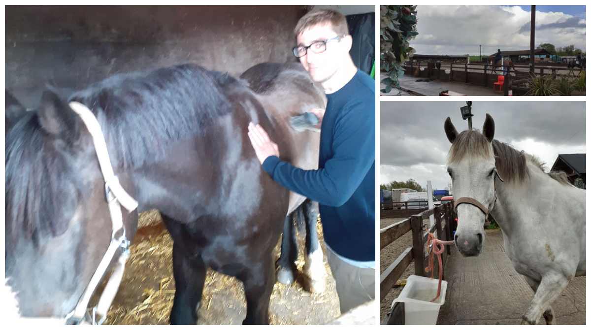 2021 series of #HACSaddleClub riding events officially started today with a 3 day riding course at #WaysideStables in #Windsor. Back by popular demand. Enjoying #Outdoors #HorseRiding