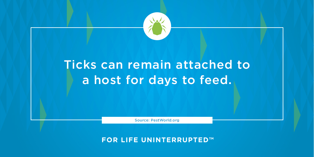 It’s #TickAwarenessWeek, and <a href="/NationalPestMgt/">NPMA</a> is encouraging PMPs to educate their customers about #tickcontrol. ✍️

These pests can pose problems with their prolonged feeding habits. Prepare for tick season with our proven #SecureChoiceProgram: ow.ly/fwmZ50EHBxo