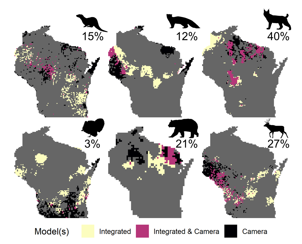 We compared agreement between integrated and camera-only models about high-abundance areas. Overall the two models had low agreement (highest was for bobcat – the %’s in the figure below are the percentage of cells that were ID’d as the highest abundance by both models) 11/18