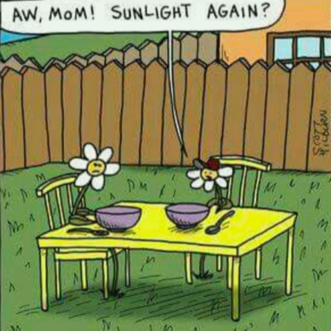 Just a little #science laugh to get your week started right! Have a great one! #DoSomeScience