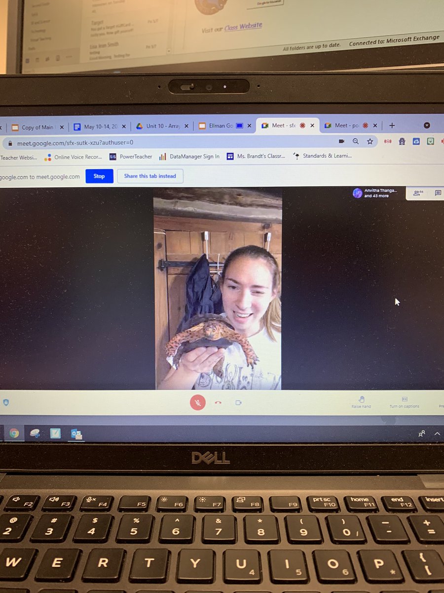 𝕄𝕖𝕣𝕖𝕕𝕚𝕥𝕙 𝕄𝕔𝔻𝕠𝕨𝕖𝕝𝕝 tweet media