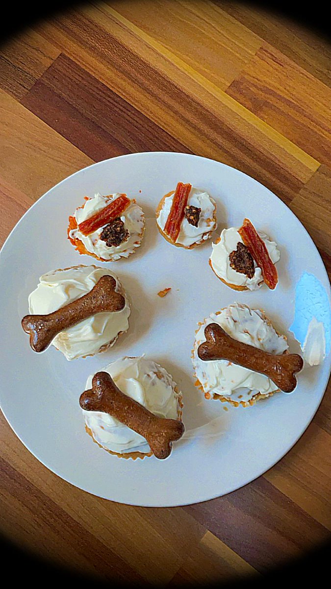 comfy_cards's tweet photo. Having our homemade Pupcakes that Mum and big Sister made for Rory's birthday.🙂🐾🐾 #dogs #irishsetters #pupcakes #dogcake #cake #baking #BirthdayCake #homemade #Rorytheirishsetter #balconydug #BarneyTheIrishSetter #BarneyBops #banana #peanutbutter https://t.co/2rIxoNMLdG