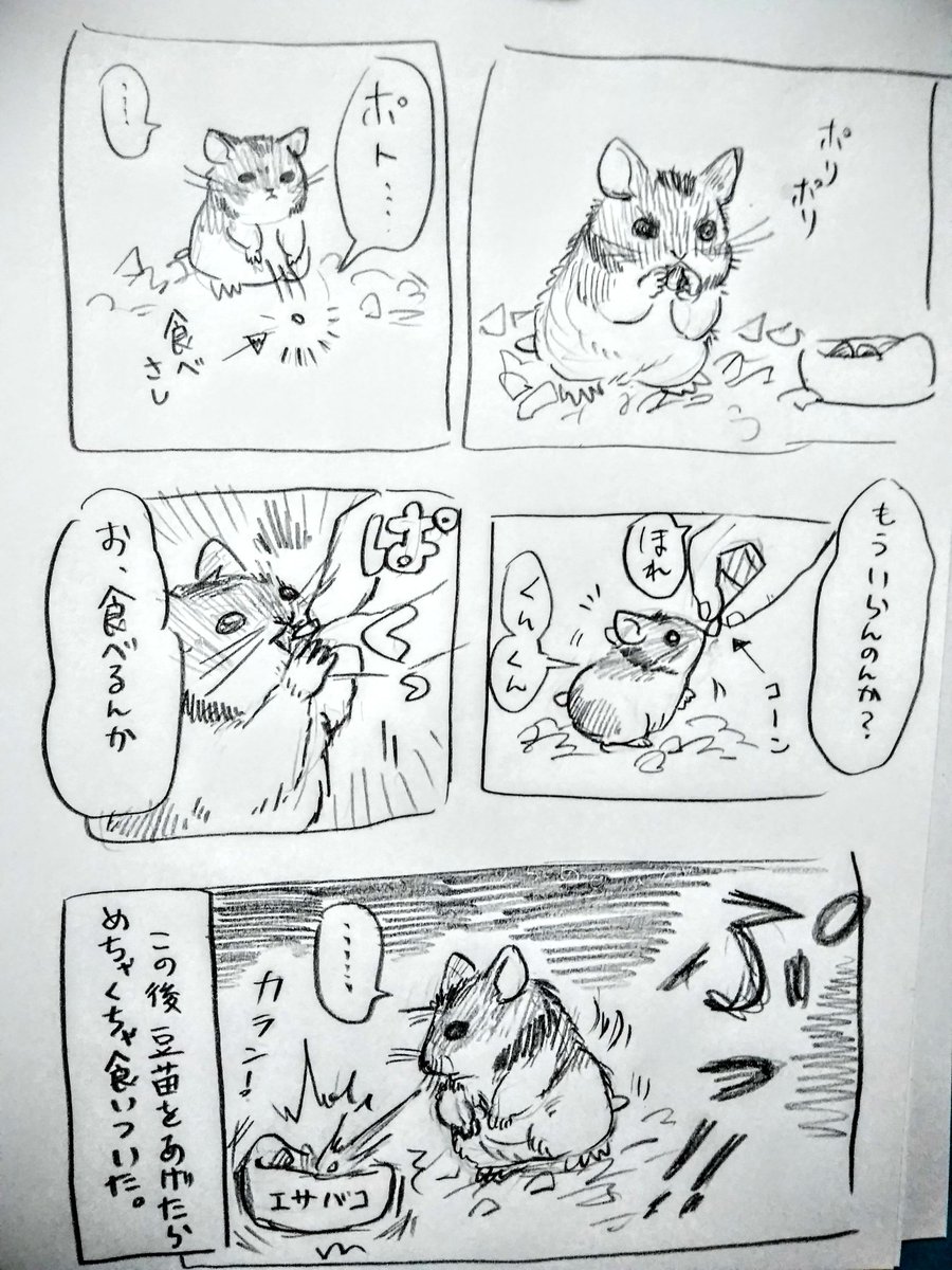 #ハムスター漫画
#ハムスターのいる生活 
グルメ 