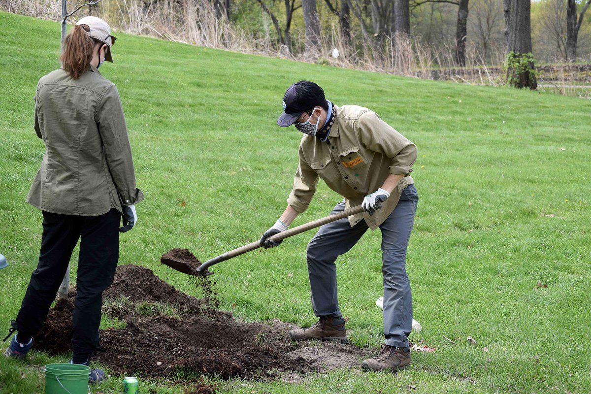 TreeTrust's tweet photo. A big thank you to our volunteers on Saturday who helped plant 60 trees in Battle Creek Park in Maplewood. Thank you for planting trees to help grow a vibrant and resilient urban forest! #TreeTrustTransforms @RamseyCtyParks https://t.co/eZX5nFVyz2