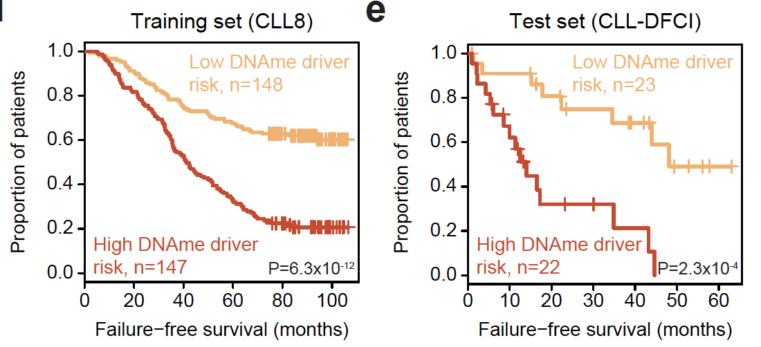 landau_lab's tweet photo. Prognostic models based on DNA methylation drivers separated high and low risk CLL, including in an independent validation cohort, and after accounting for other known risk factors. https://t.co/UK6CDHo9y8
