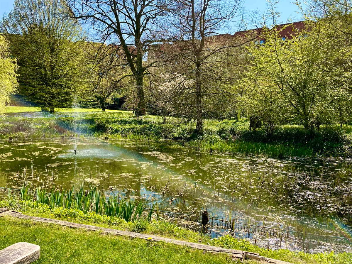 This year's #MentalHealthAwarenessWeek is encouraging you to #ConnectWithNature