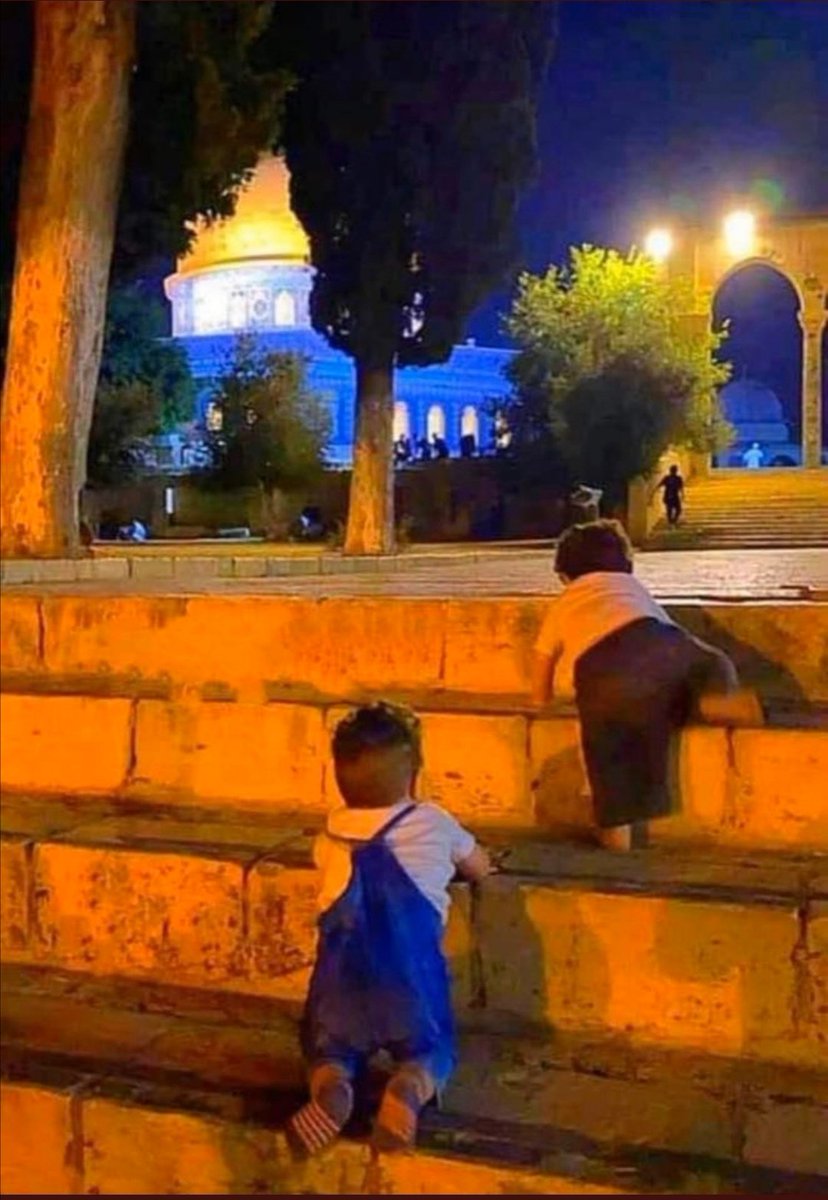 kemalltuncer's tweet photo. Mescidi Aksa yalnız değildir, sahipsiz hiç değildir. Kıyamete kadar savunucuları olacak, hiç bitmeyecek Allah'ın izniyle.. #KudusBizimdir #MescidiAksaOnurumuzdur #MescidiAksa https://t.co/QXuyJdtMaK