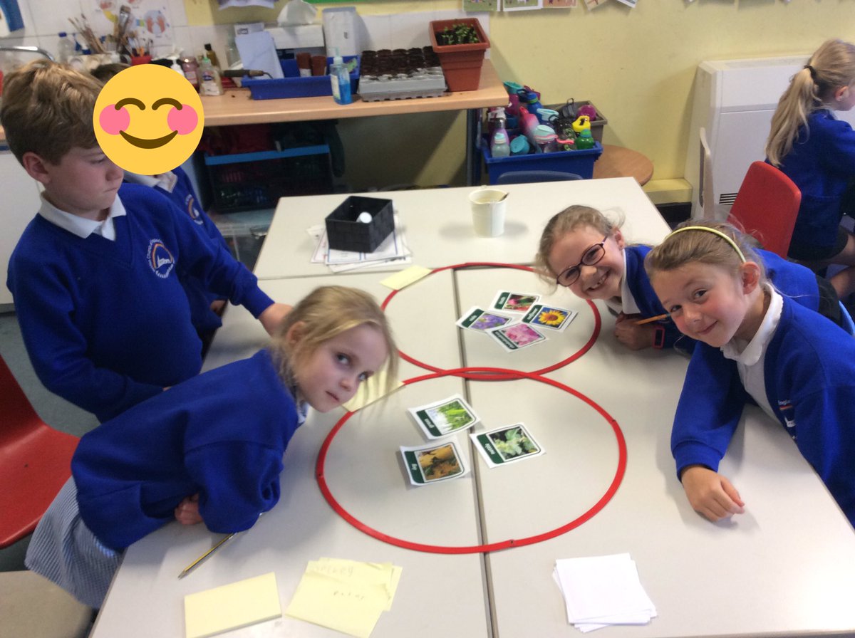 NectonY1's tweet image. Today in Science we discussed how we could group and organise different plants. We had some great ideas including grouping by petals, colour and size. 👍🏻🌟