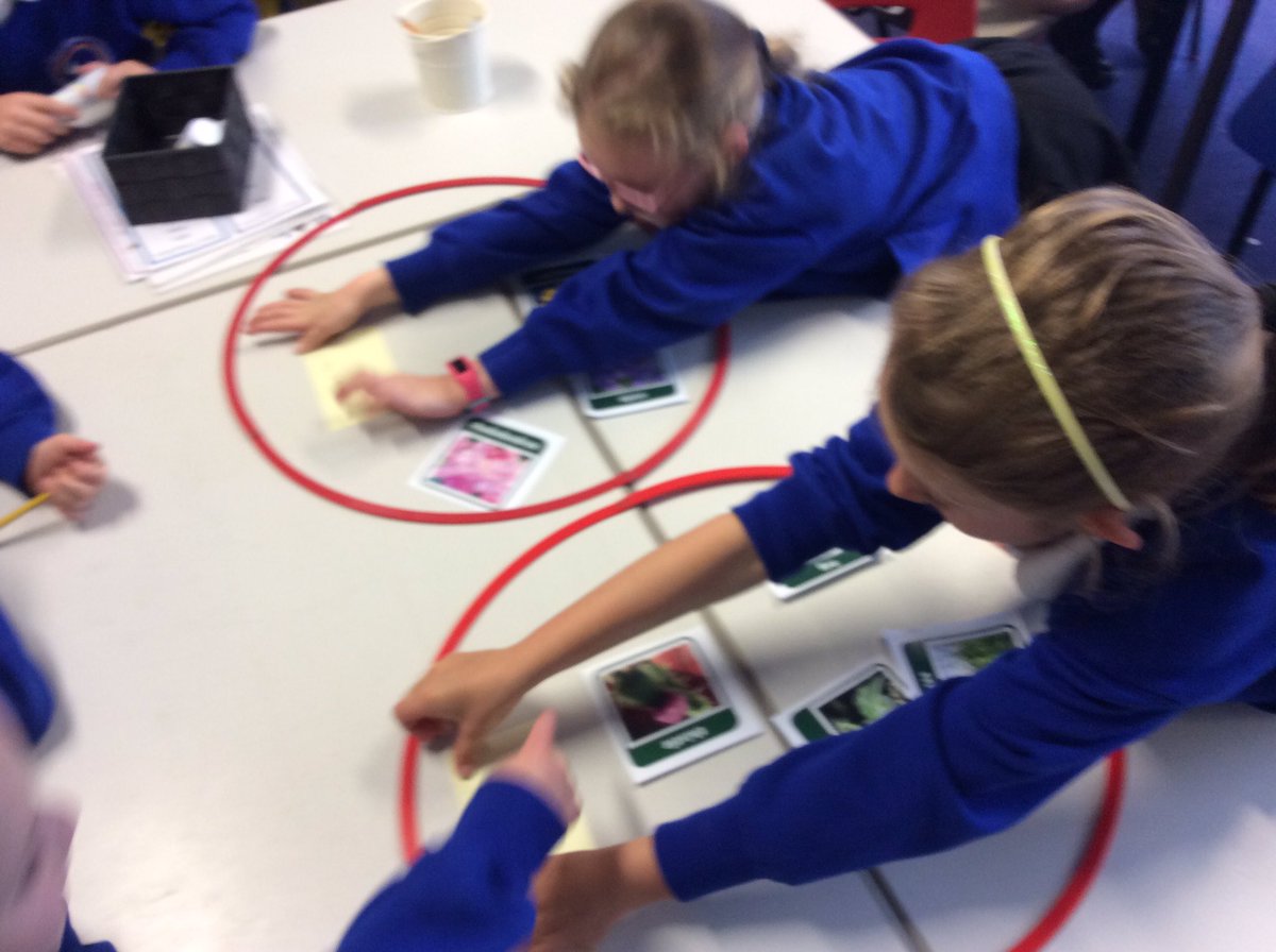NectonY1's tweet image. Today in Science we discussed how we could group and organise different plants. We had some great ideas including grouping by petals, colour and size. 👍🏻🌟