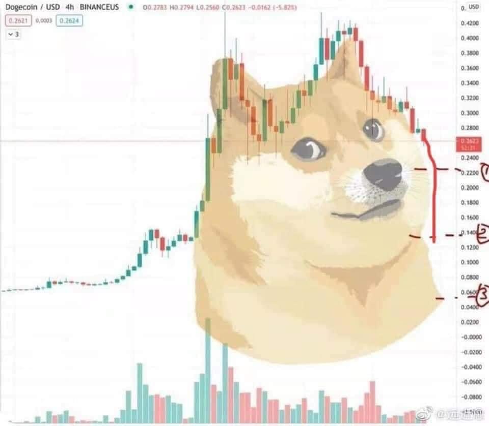 🐶🙃
(H/t <a href="/ravemehta/">Rave' Mehta</a> )