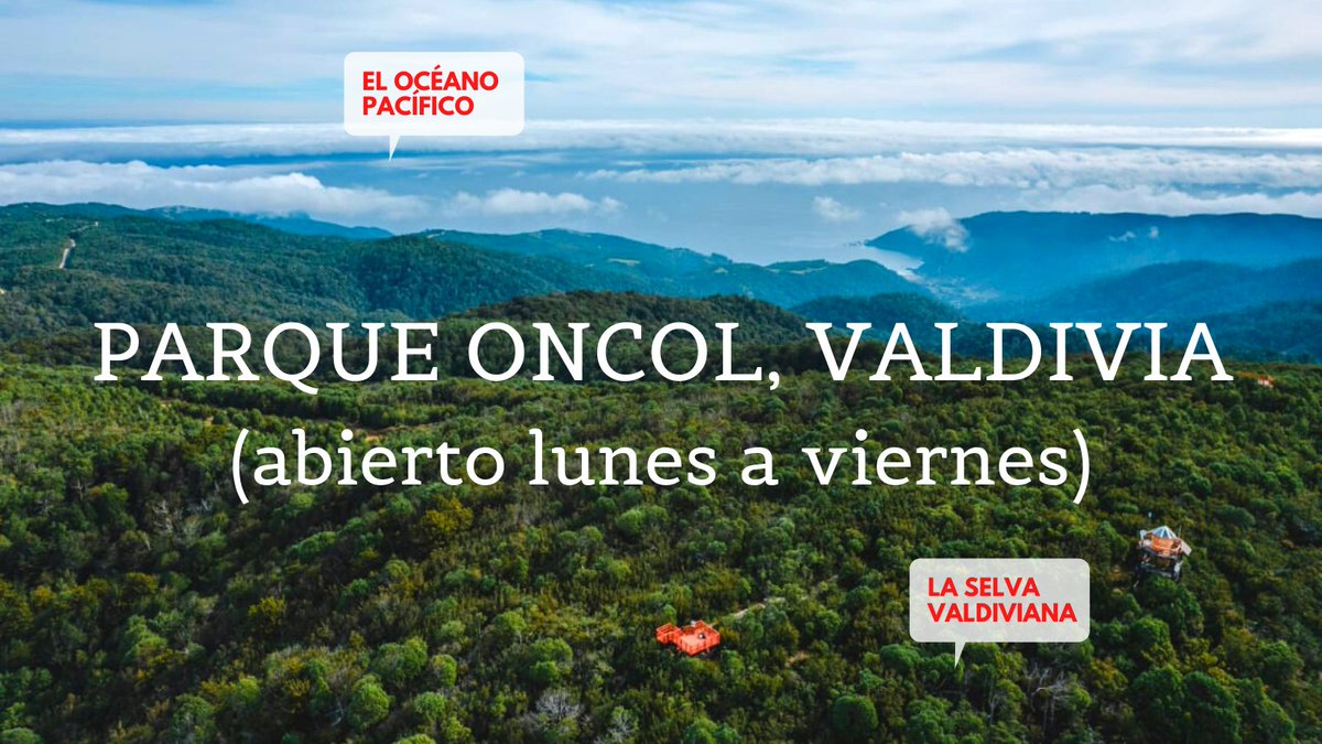 Los Rios Convention Bureau tweet media