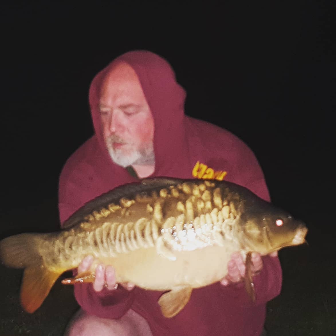 GannawayRobert's tweet photo. Well, I am backing fishing after a year away. 3rd overnighter at my syndicate produced this stunning fish.
Wasn't expecting results so quickly, if I am honest, but I guess I haven't lost my touch.
#RobbMojo https://t.co/ayKMb3HEsI