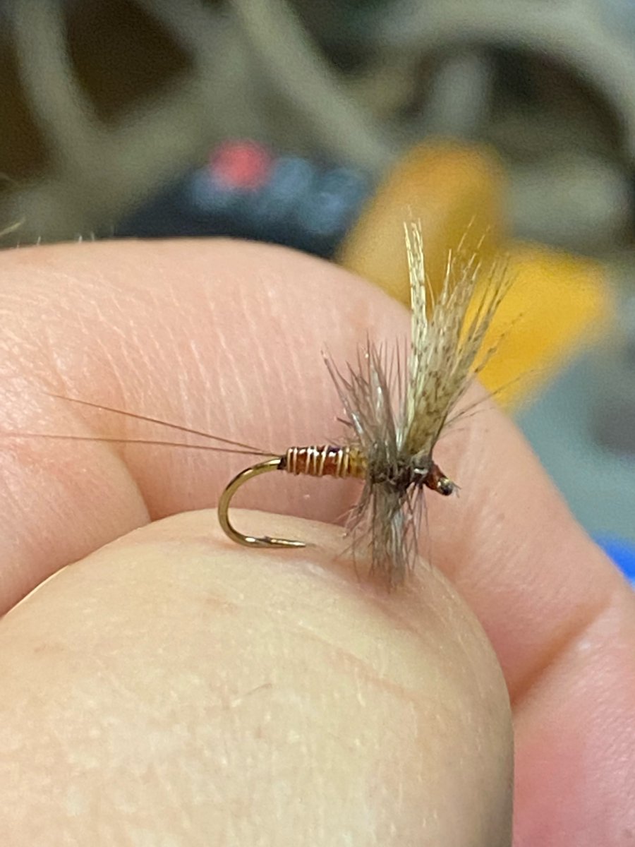 kigercreek's tweet photo. From the vise… https://t.co/EMeQPFPR0q
